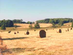Harvest La Creuse